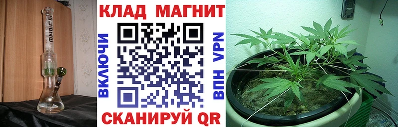 Где продают наркотики Туймазы Галлюциногенные грибы  Alpha PVP  ГАШИШ  Кетамин  блэк спрут онион  Конопля 