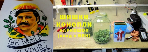 стафф Пестово