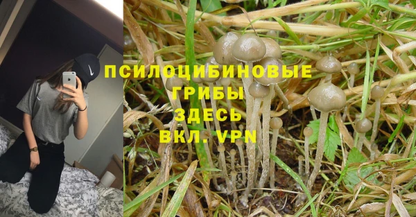 прущая мука Алексин